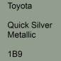 Preview: Toyota, Quick Silver Metallic, 1B9.